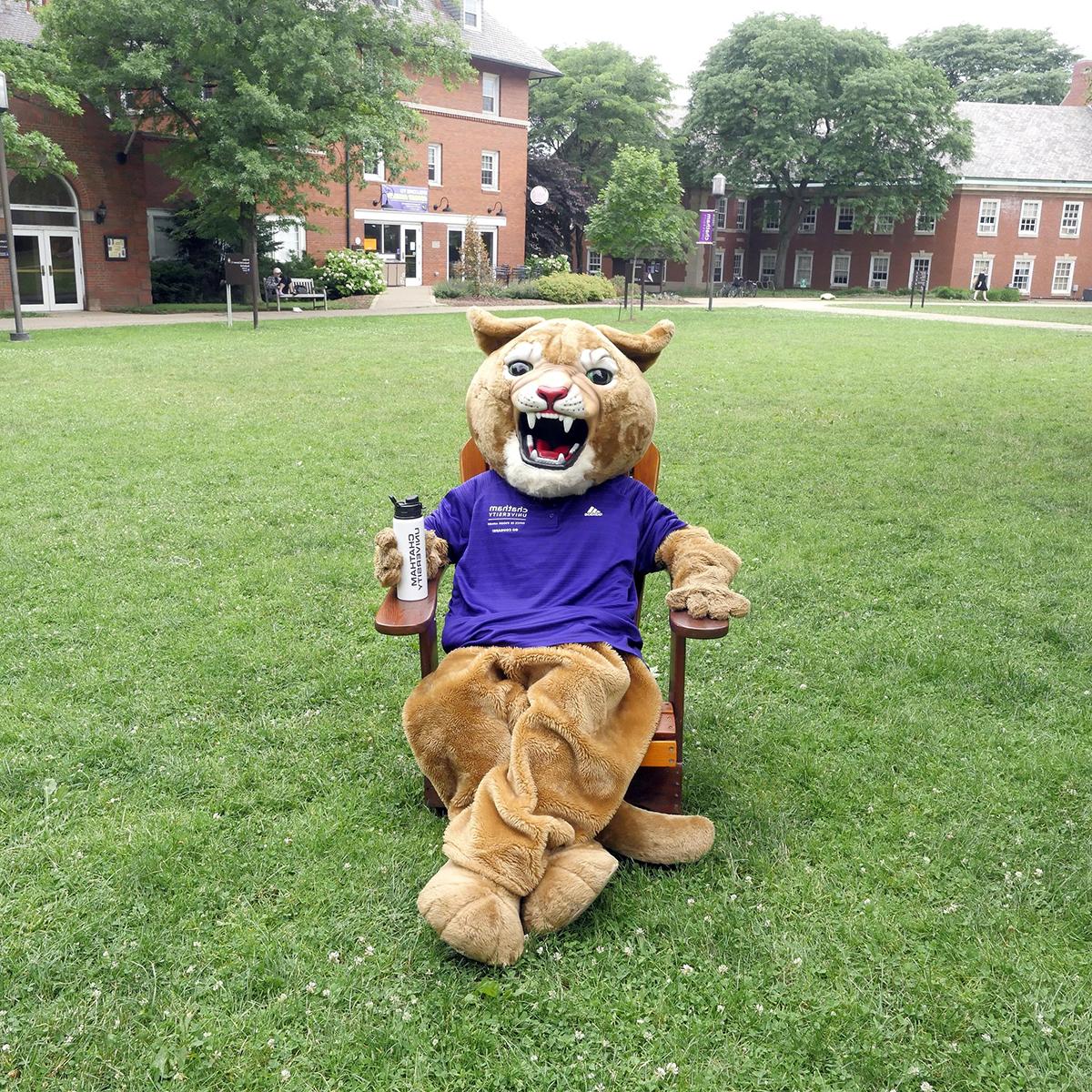 Photo of Carson the Cougar mascot sitting on a chair in Shadyside Campus