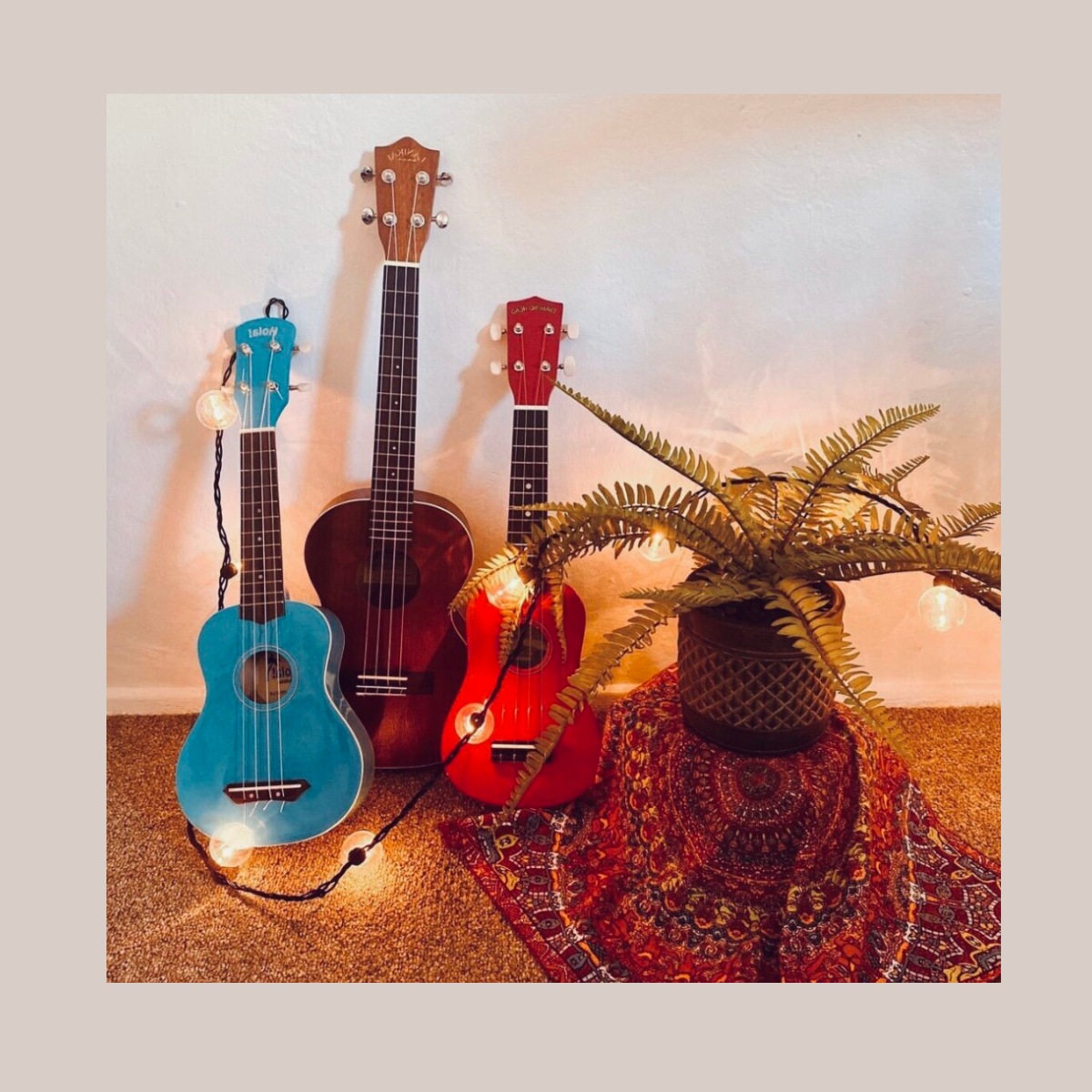Photo of three ukuleles entwined in fairy lights
